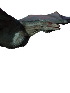 Majestic Dragon Soaring V4 Vinyl Car Decal Sticker – Waterproof & UV-Resistant 