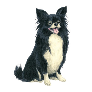 Cute Kawaii Dog Vinyl Car Decal Sticker – Waterproof & UV-Resistant 