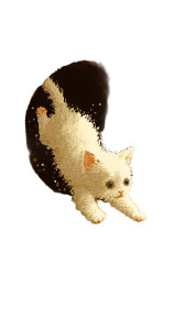 Tiny Crawling Kitten Vinyl Car Decal Sticker – Waterproof & UV-Resistant 