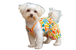 Dog In Jumpsuit Vinyl Car Decal Sticker – Waterproof & UV-Resistant 