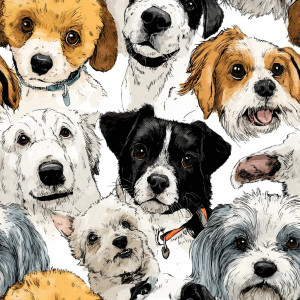 Cute Dogs V2 Vinyl Car Decal Sticker – Waterproof & UV-Resistant 