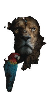 Lion With Parrots Vinyl Car Decal Sticker – Waterproof & UV-Resistant Lion With Parrots Vinyl Car Decal Sticker – Waterproof & UV-Resistant
