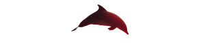Vaporwave Dolphin Sunset Vinyl Car Decal Sticker – Waterproof & UV-Resistant 