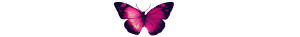 Colorful Butterfly V5 Vinyl Car Decal Sticker – Waterproof & UV-Resistant 