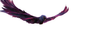 Majestic Aurora Eagle Vinyl Car Decal Sticker – Waterproof & UV-Resistant Majestic Aurora Eagle Vinyl Car Decal Sticker – Waterproof & UV-Resistant