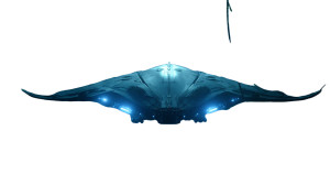 Hybrid Manta Ray Vinyl Car Decal Sticker – Waterproof & UV-Resistant Hybrid Manta Ray Vinyl Car Decal Sticker – Waterproof & UV-Resistant