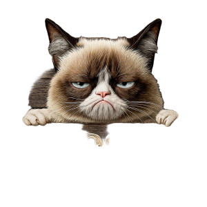 Grumpy Cat Sign Vinyl Car Decal Sticker – Waterproof & UV-Resistant  Grumpy Cat Sign Vinyl Car Decal Sticker – Waterproof & UV-Resistant