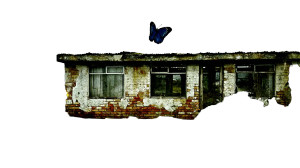 Blue Butterfly House Vinyl Car Decal Sticker – Waterproof & UV-Resistant 