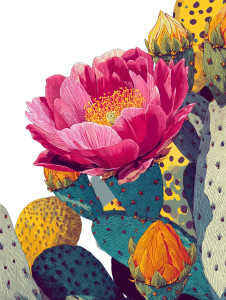 Floral Cactus Illustration Vinyl Car Decal Sticker – Waterproof & UV-Resistant Floral Cactus Illustration Vinyl Car Decal Sticker – Waterproof & UV-Resistant