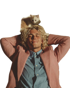 Dreamy Man With Kittens Vinyl Car Decal Sticker – Waterproof & UV-Resistant 