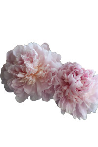 Pale Pink Peonies Vinyl Car Decal Sticker – Waterproof & UV-Resistant Pale Pink Peonies Vinyl Car Decal Sticker – Waterproof & UV-Resistant