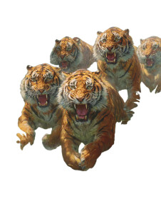 Ferocious Tigers Leaping Vinyl Car Decal Sticker – Waterproof & UV-Resistant 