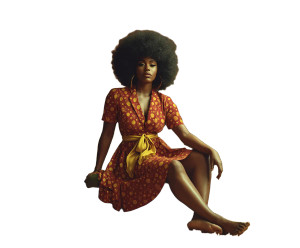 Retro Fashion Icon V2 Vinyl Car Decal Sticker – Waterproof & UV-Resistant 