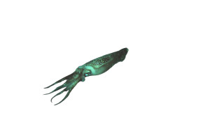 Giant Squid V2 Vinyl Car Decal Sticker – Waterproof & UV-Resistant 