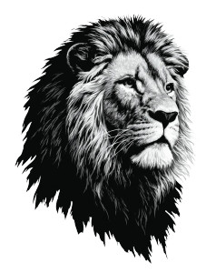Lion Head Vector Vinyl Car Decal Sticker – Waterproof & UV-Resistant Lion Head Vector Vinyl Car Decal Sticker – Waterproof & UV-Resistant