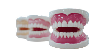 Implan Model Tooth Vinyl Car Decal Sticker – Waterproof & UV-Resistant 