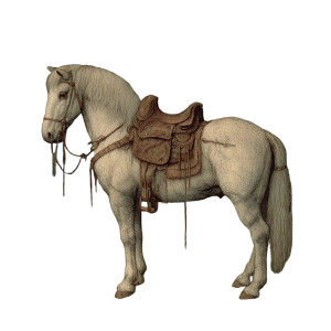 Lone Saddled Horse Vinyl Car Decal Sticker – Waterproof & UV-Resistant Lone Saddled Horse Vinyl Car Decal Sticker – Waterproof & UV-Resistant