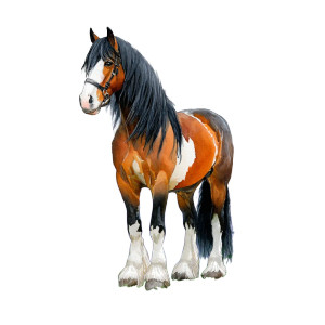 Cob Horse Art Vinyl Car Decal Sticker – Waterproof & UV-Resistant Cob Horse Art Vinyl Car Decal Sticker – Waterproof & UV-Resistant