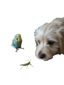 Budgerigar And Puppy Vinyl Car Decal Sticker – Waterproof & UV-Resistant Budgerigar And Puppy Vinyl Car Decal Sticker – Waterproof & UV-Resistant