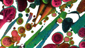 Neon Microorganisms Vinyl Car Decal Sticker – Waterproof & UV-Resistant 