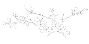 Picasso Almond Branch Vinyl Car Decal Sticker – Waterproof & UV-Resistant 