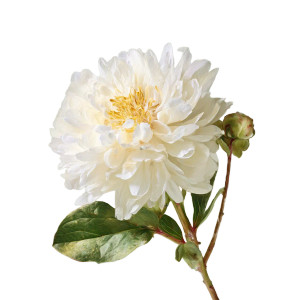 Delicate White Flower Vinyl Car Decal Sticker – Waterproof & UV-Resistant Delicate White Flower Vinyl Car Decal Sticker – Waterproof & UV-Resistant