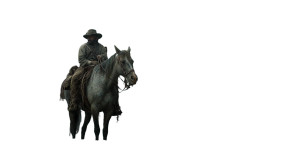 Confederate Cavalryman Swamp Vinyl Car Decal Sticker – Waterproof & UV-Resistant 