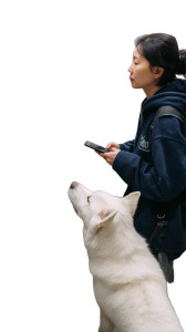 Shopping With Dog Vinyl Car Decal Sticker – Waterproof & UV-Resistant 