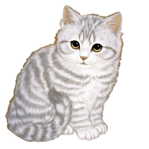 Beautiful Kitten V2 Vinyl Car Decal Sticker – Waterproof & UV-Resistant 