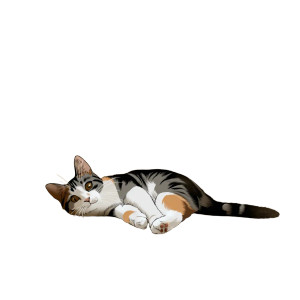 Playful Calico Cat Vinyl Car Decal Sticker – Waterproof & UV-Resistant 