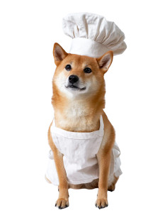 Chef Shibainu V2 Vinyl Car Decal Sticker – Waterproof & UV-Resistant Chef Shibainu V2 Vinyl Car Decal Sticker – Waterproof & UV-Resistant
