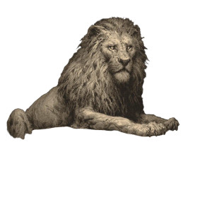 Schrödinger’S Catacomb Vinyl Car Decal Sticker – Waterproof & UV-Resistant 