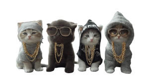 Hip-Hop Kittens Vinyl Car Decal Sticker – Waterproof & UV-Resistant Hip-Hop Kittens Vinyl Car Decal Sticker – Waterproof & UV-Resistant
