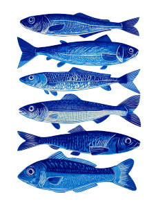 Minimalist Sardine Illustration V2 Vinyl Car Decal Sticker – Waterproof & UV-Resistant 