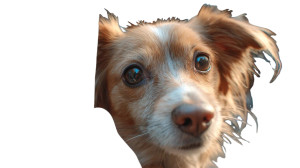 Hand Holding Phone V8 Vinyl Car Decal Sticker – Waterproof & UV-Resistant 