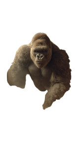 Rampaging Gorilla Vinyl Car Decal Sticker – Waterproof & UV-Resistant 