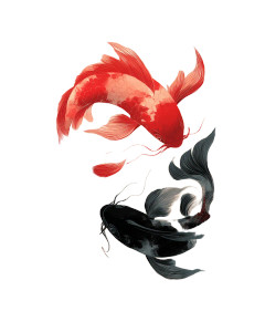 Stylized Koi Fish Vinyl Car Decal Sticker – Waterproof & UV-Resistant Stylized Koi Fish Vinyl Car Decal Sticker – Waterproof & UV-Resistant