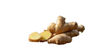 Ginger Root Slice V2 Vinyl Car Decal Sticker – Waterproof & UV-Resistant 