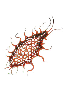 Glowing Starry Creature Vinyl Car Decal Sticker – Waterproof & UV-Resistant 