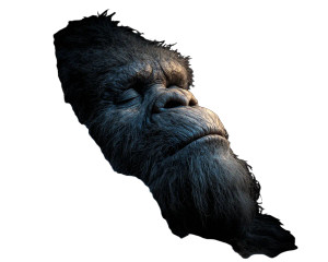 Sleeping Bigfoot Vinyl Car Decal Sticker – Waterproof & UV-Resistant  Sleeping Bigfoot Vinyl Car Decal Sticker – Waterproof & UV-Resistant