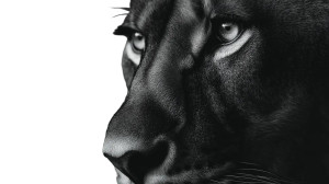 Lion'S Intense Gaze Vinyl Car Decal Sticker – Waterproof & UV-Resistant Lion'S Intense Gaze Vinyl Car Decal Sticker – Waterproof & UV-Resistant