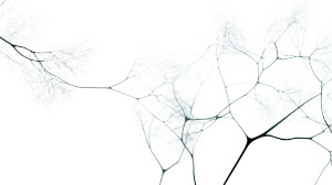 Misty Hyphal Networks Vinyl Car Decal Sticker – Waterproof & UV-Resistant 