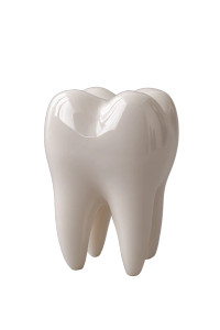 Porcelain Tooth Model Vinyl Car Decal Sticker – Waterproof & UV-Resistant 