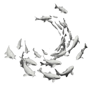 Dynamic Swimming Carp Vinyl Car Decal Sticker – Waterproof & UV-Resistant 