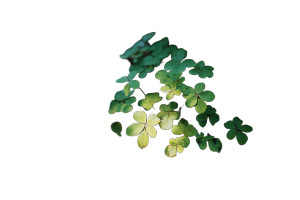 Young Plant Thriving Vinyl Car Decal Sticker – Waterproof & UV-Resistant 