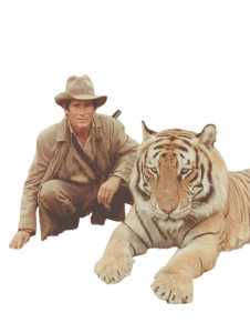 Giant Hunted Tiger V2 Vinyl Car Decal Sticker – Waterproof & UV-Resistant Giant Hunted Tiger V2 Vinyl Car Decal Sticker – Waterproof & UV-Resistant