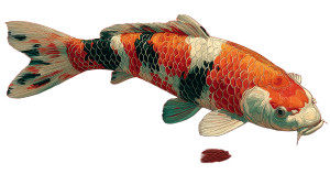 Colorful Koi Fish V4 Vinyl Car Decal Sticker – Waterproof & UV-Resistant 