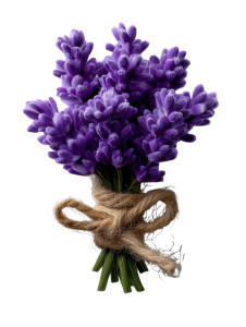 Lavender Bouquet Vinyl Car Decal Sticker – Waterproof & UV-Resistant Lavender Bouquet Vinyl Car Decal Sticker – Waterproof & UV-Resistant