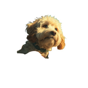 Cavapoo At Airport Vinyl Car Decal Sticker – Waterproof & UV-Resistant Cavapoo At Airport Vinyl Car Decal Sticker – Waterproof & UV-Resistant