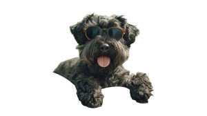 Sunglasses Schnauzer Raft Vinyl Car Decal Sticker – Waterproof & UV-Resistant 